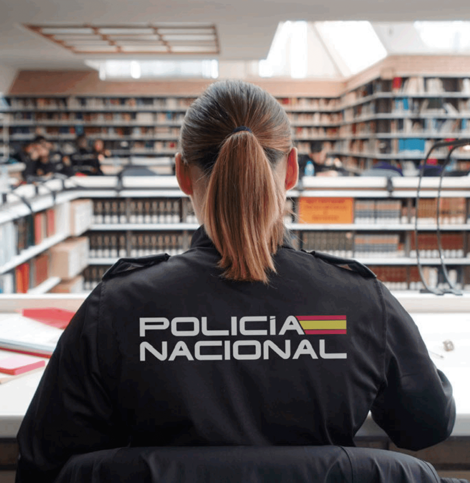 Preparación individualizada de psicotécnicos
